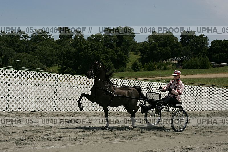Proof Number upha_05__0048