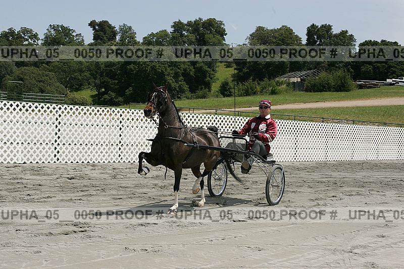 Proof Number upha_05__0050