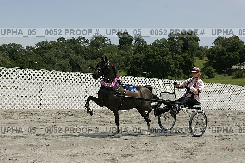 Proof Number upha_05__0052