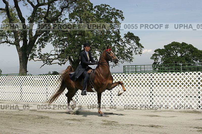 Proof Number upha_05__0055
