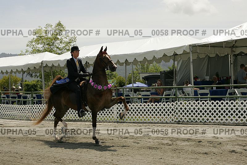 Proof Number upha_05__0058