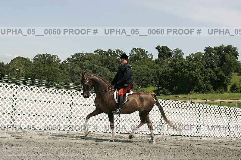 Proof Number upha_05__0060