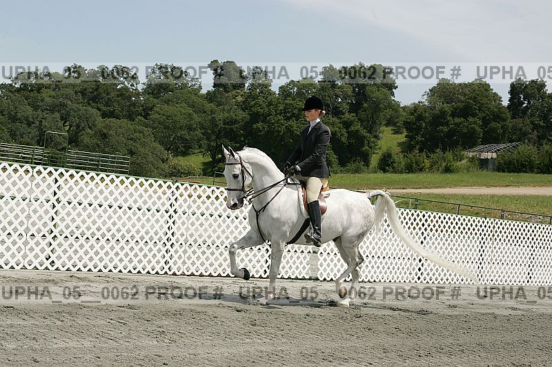 Proof Number upha_05__0062