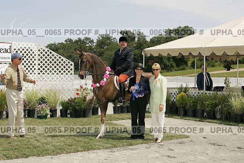Proof Number upha_05__0065