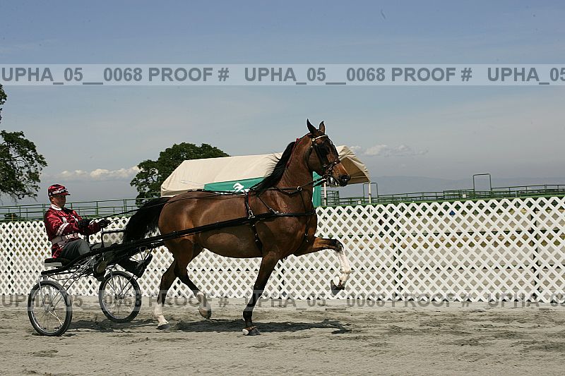 Proof Number upha_05__0068