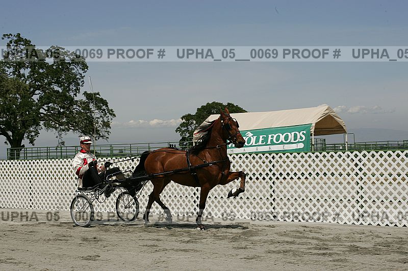 Proof Number upha_05__0069