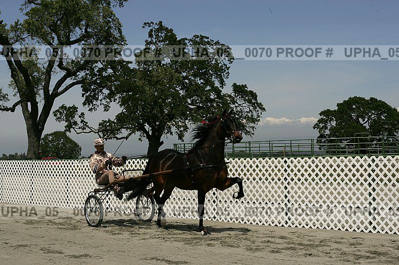 Proof Number upha_05__0070