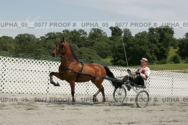 Proof Number upha_05__0077