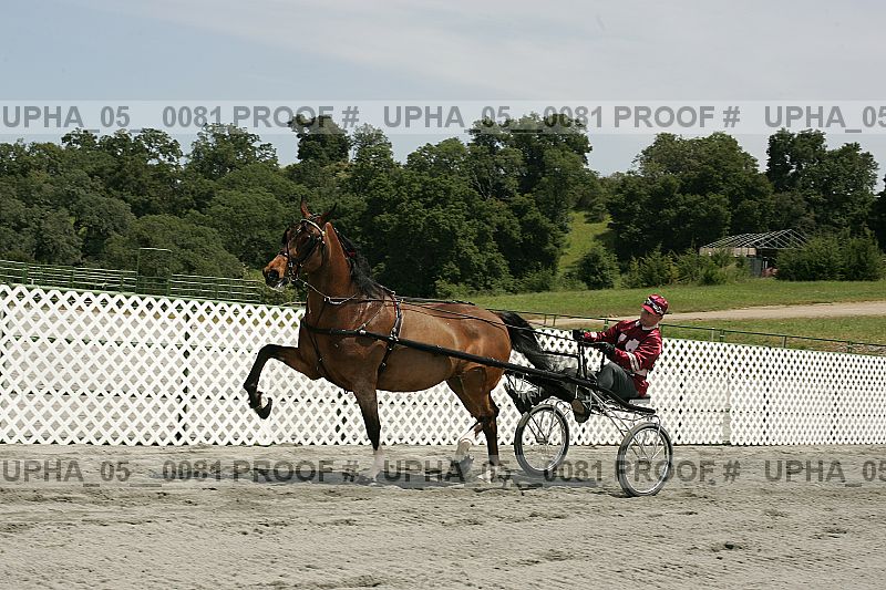 Proof Number upha_05__0081