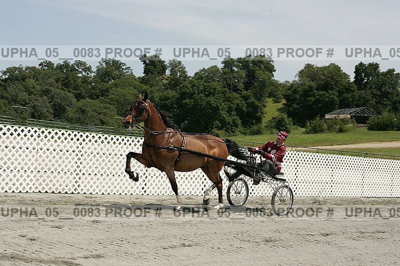 Proof Number upha_05__0083