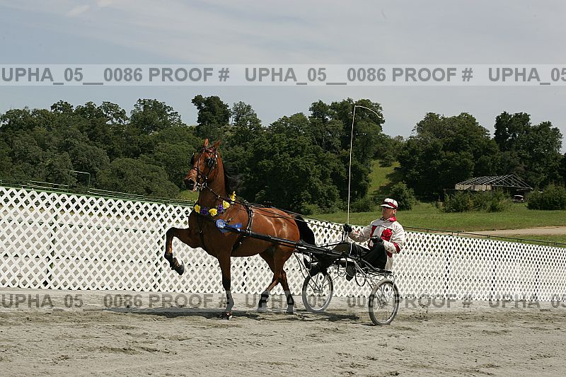 Proof Number upha_05__0086