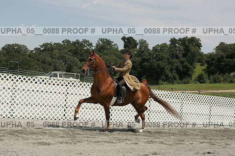 Proof Number upha_05__0088