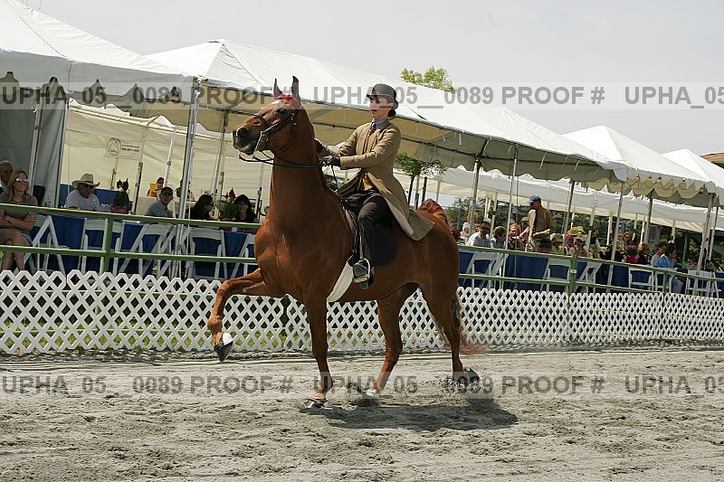 Proof Number upha_05__0089