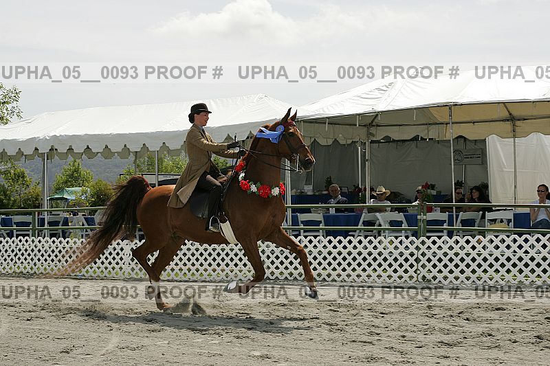 Proof Number upha_05__0093