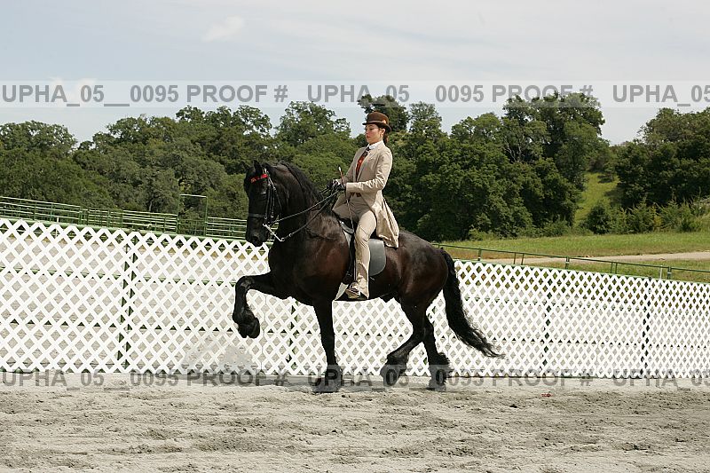 Proof Number upha_05__0095