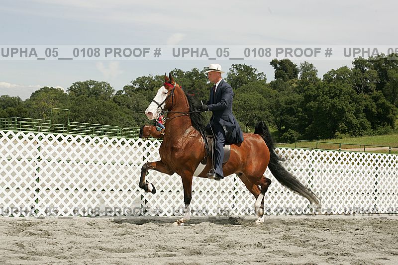 Proof Number upha_05__0108