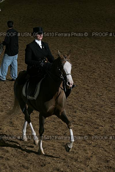 Proof Number usn_05_15410