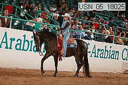 usn_05_18025 thumbnail