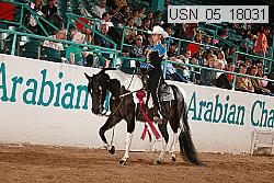 usn_05_18031 thumbnail