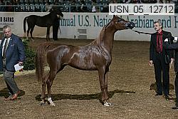 Proof Number usn_05_12712