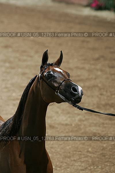 Proof Number usn_05_12763