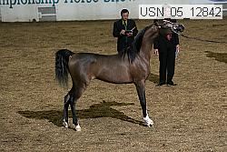 Proof Number usn_05_12842