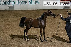 Proof Number usn_05_12869
