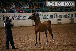 usn_05_16903 thumbnail
