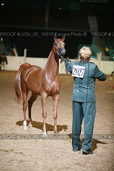 Proof Number usn_05_16915