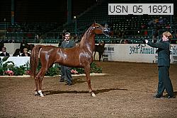 Proof Number usn_05_16921