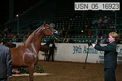 Proof Number usn_05_16923