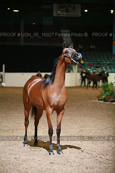 Proof Number usn_05_16927