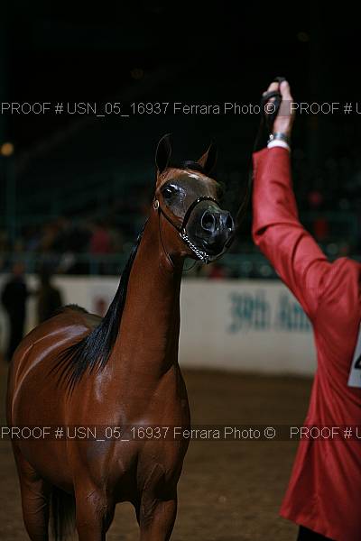 Proof Number usn_05_16937