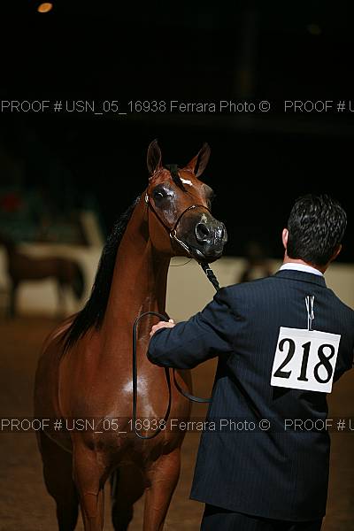 Proof Number usn_05_16938