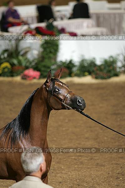 Proof Number usn_05_16958