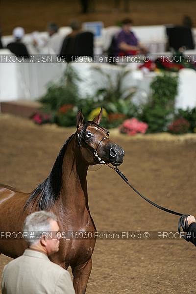 Proof Number usn_05_16960