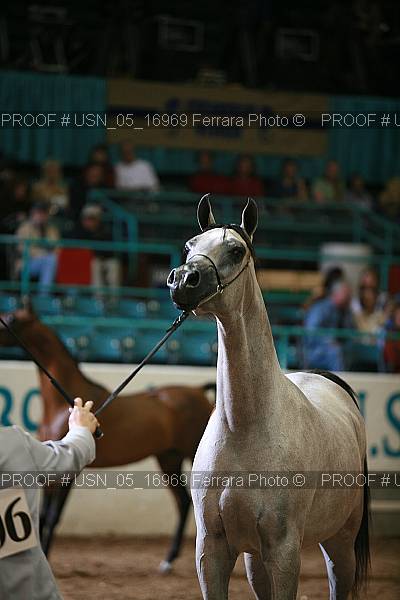 Proof Number usn_05_16969