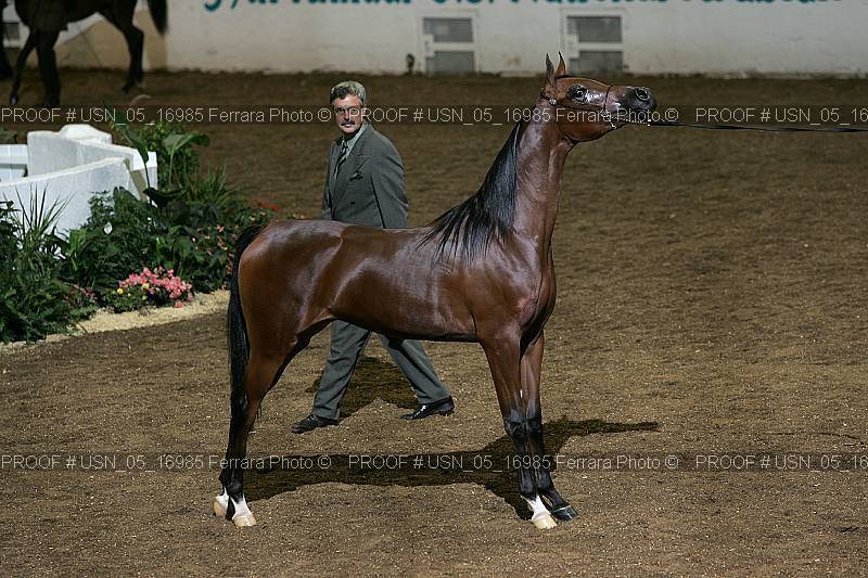 Proof Number usn_05_16985