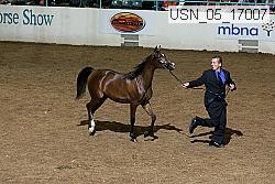 Proof Number usn_05_17007