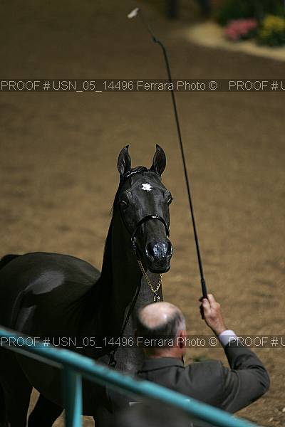 Proof Number usn_05_14496