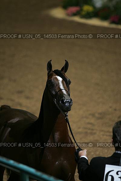 Proof Number usn_05_14503