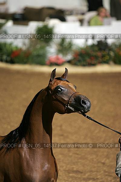Proof Number usn_05_14537