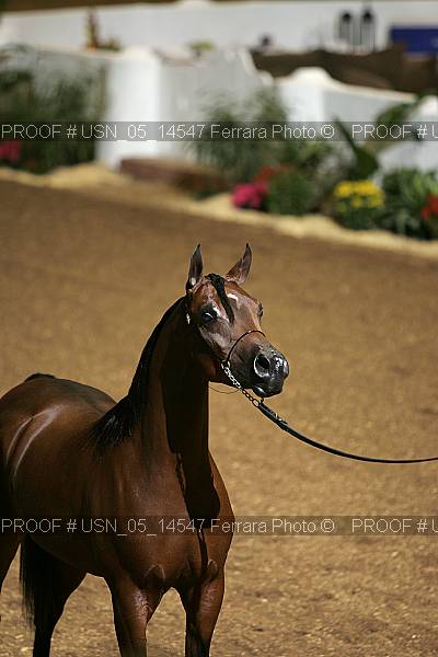 Proof Number usn_05_14547