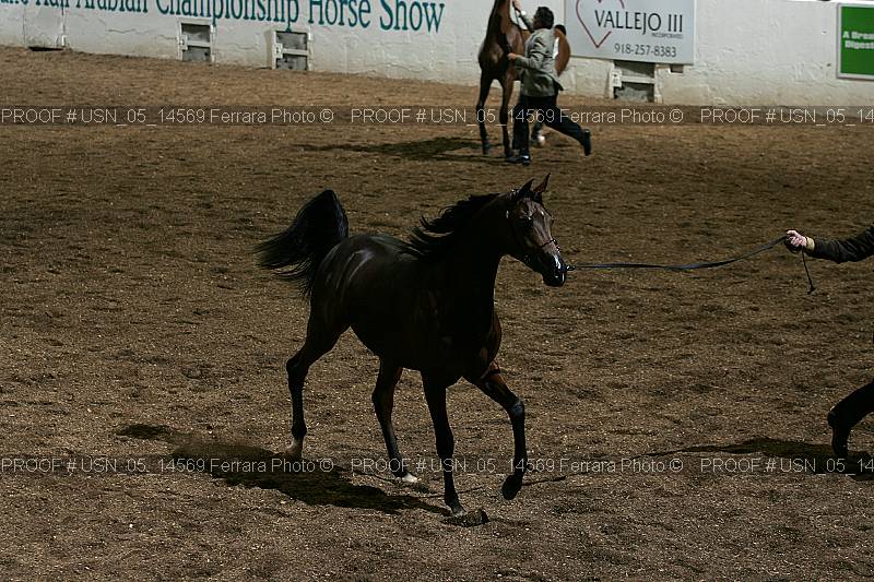 Proof Number usn_05_14569