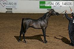 Proof Number usn_05_14606