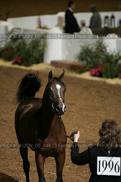 Proof Number usn_05_14623