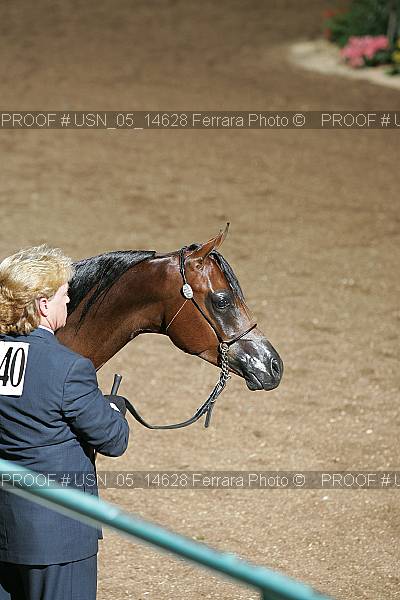 Proof Number usn_05_14628