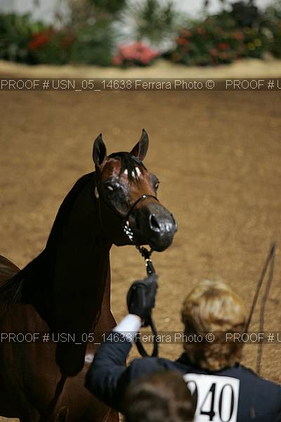 Proof Number usn_05_14638