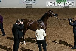 usn_05_14643 thumbnail