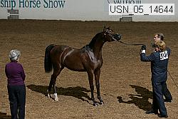 usn_05_14644 thumbnail